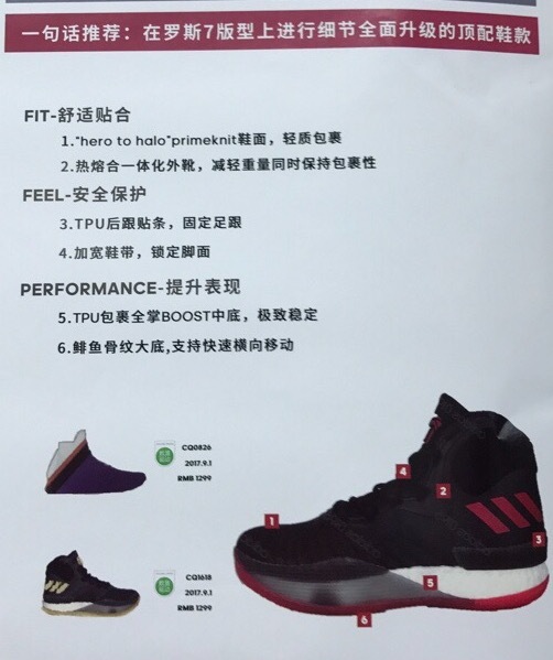 DRose8.jpeg