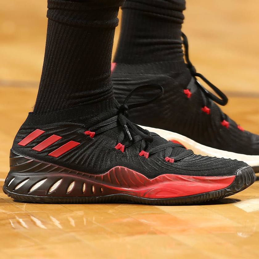 solecollector_25016517_308575686304621_7320664317425090560_n.jpg