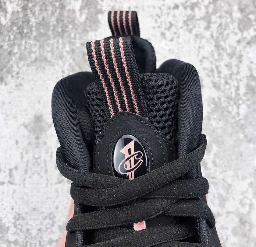 Nike-Foamposite-One-Elemental-Rose-314996-602-3.jpg