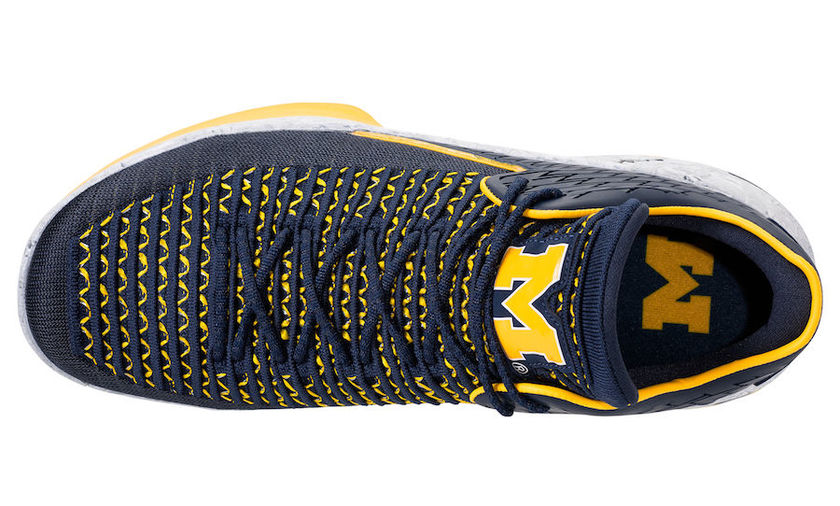 Air-Jordan-32-Low-Michigan-AA1256-405-Top-Insole.jpg