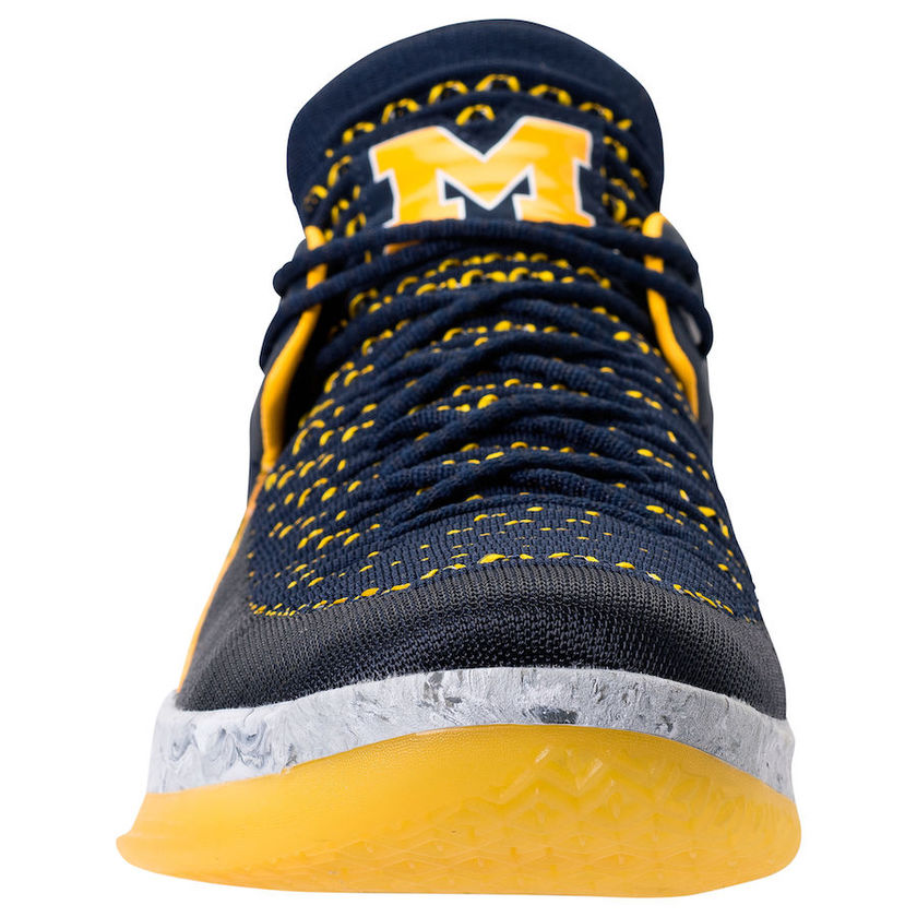 Air-Jordan-32-Low-Michigan-AA1256-405-Tongue-Logo.jpg