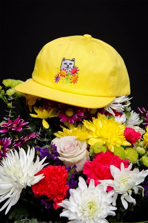 ripndip-spring-summer-2018-2.jpg