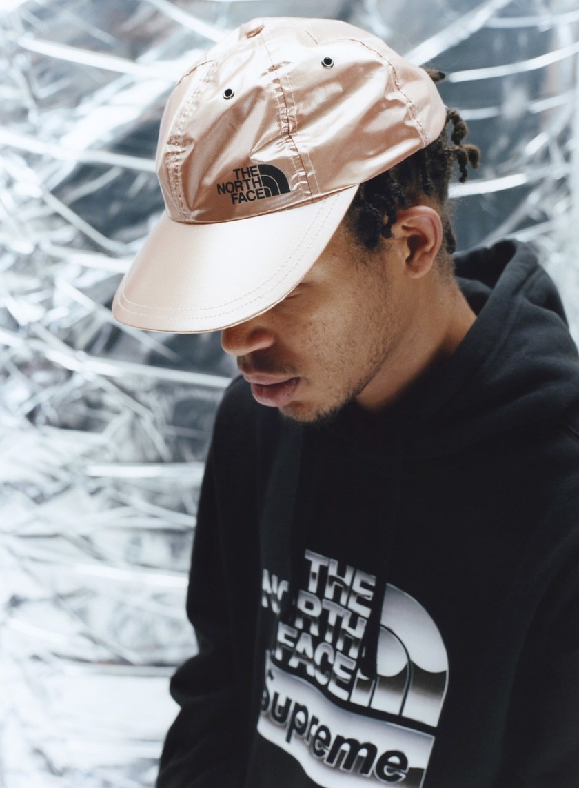 supreme-the-north-face-spring-2018-metallic-5.jpg