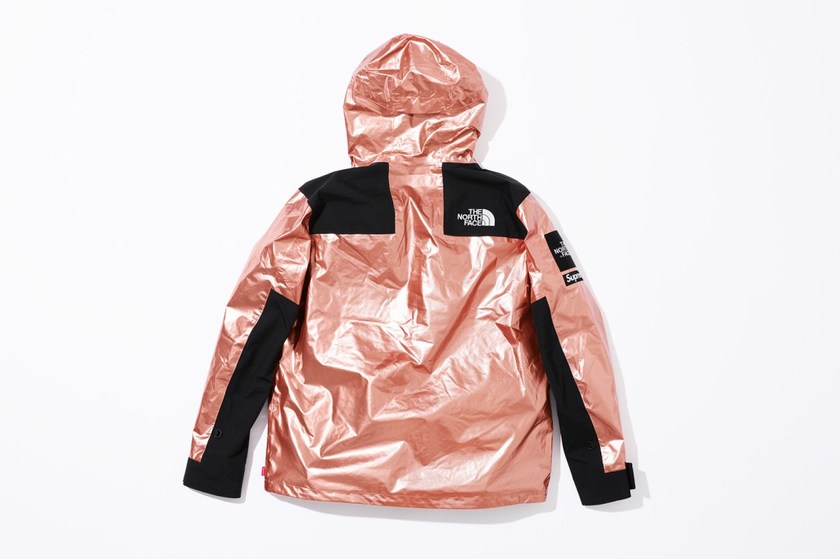supreme-the-north-face-spring-2018-metallic-11.jpg