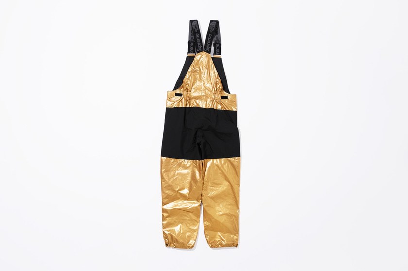 supreme-the-north-face-spring-2018-metallic-14.jpg
