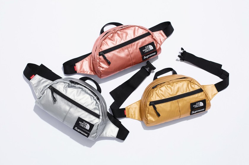 supreme-the-north-face-spring-2018-metallic-24.jpg