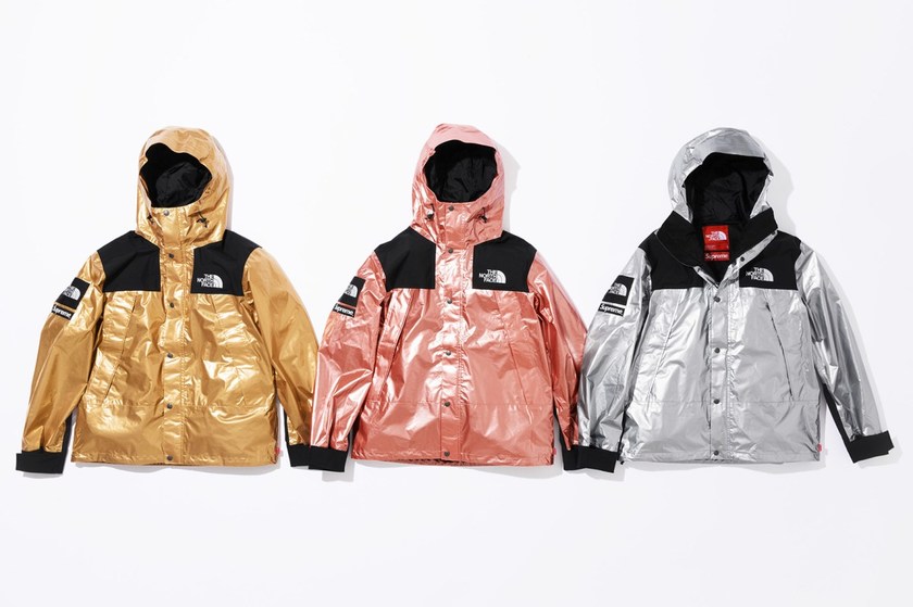 supreme-the-north-face-spring-2018-metallic-12.jpg
