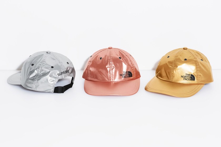 supreme-the-north-face-spring-2018-metallic-20.jpg