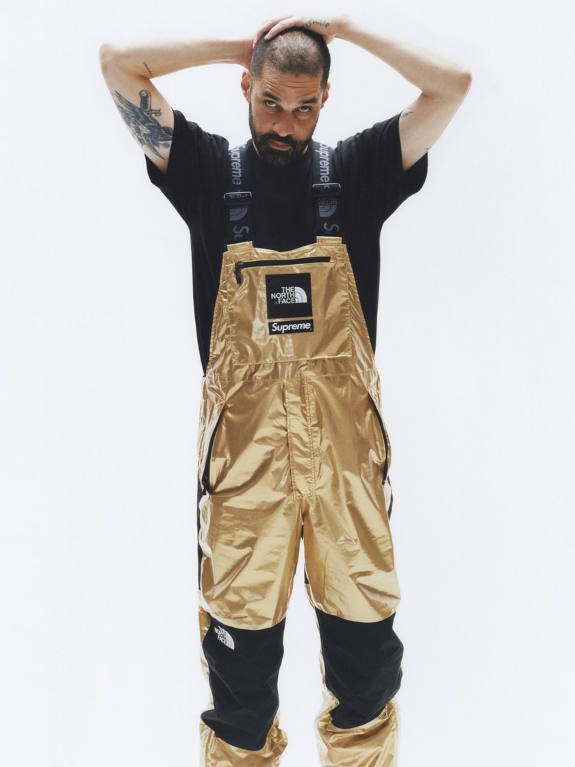 supreme-the-north-face-spring-2018-metallic-3.jpg