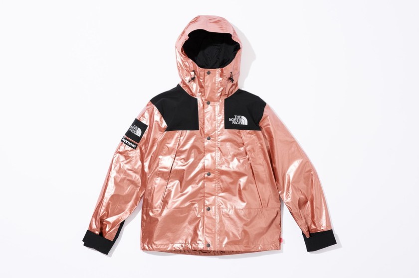 supreme-the-north-face-spring-2018-metallic-10.jpg