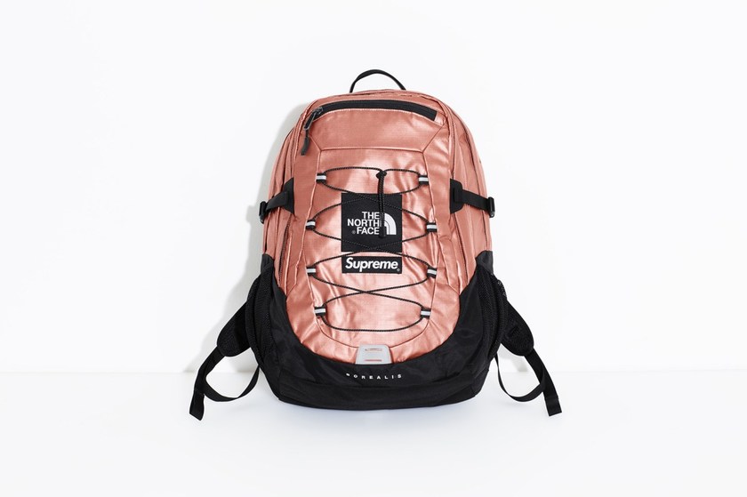 supreme-the-north-face-spring-2018-metallic-21.jpg