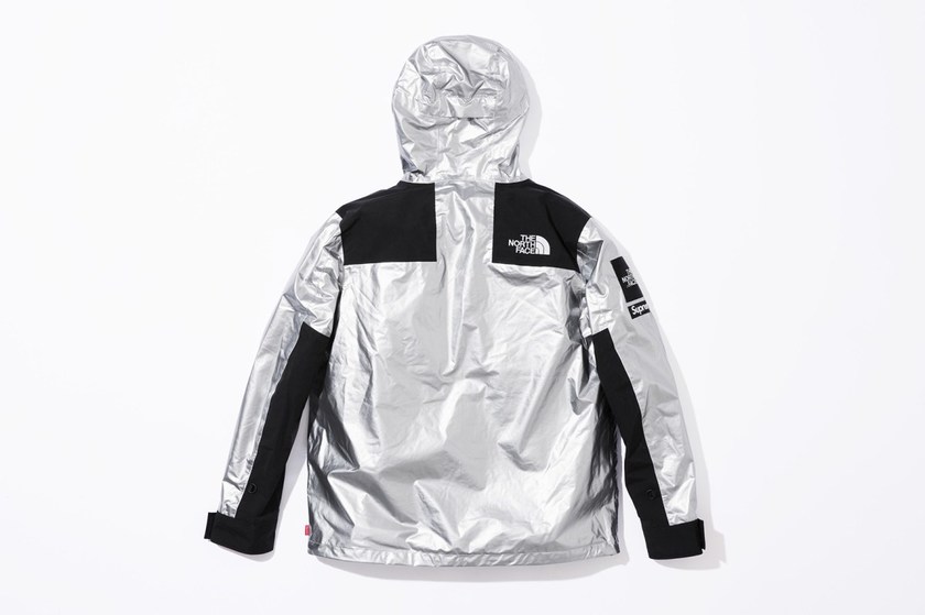 supreme-the-north-face-spring-2018-metallic-9.jpg