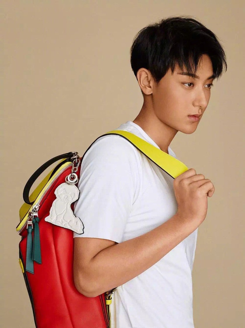 LOEWE-Z-TAO-Goya-2.jpg