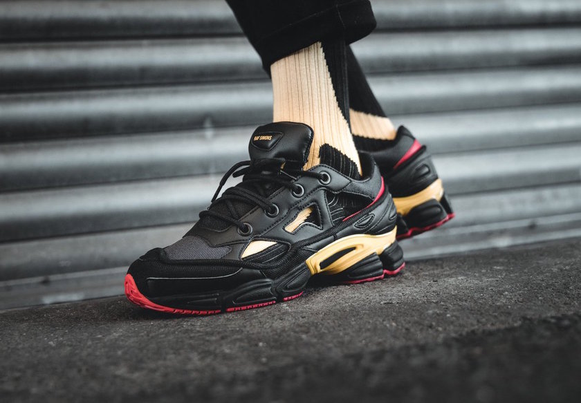 adidas-x-Raf-Simons-Replicant-Ozweego-.jpg
