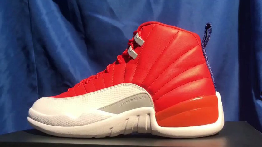 Florida-Gators-Air-Jordan-12.jpg