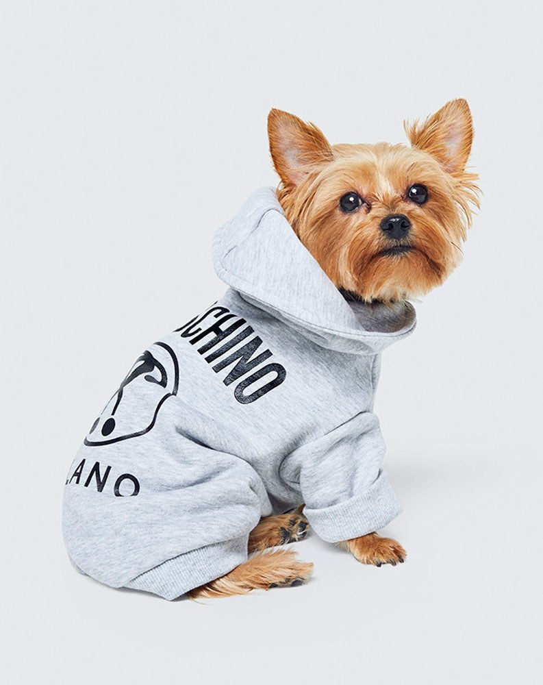 01-moschino-hm-pet.jpg