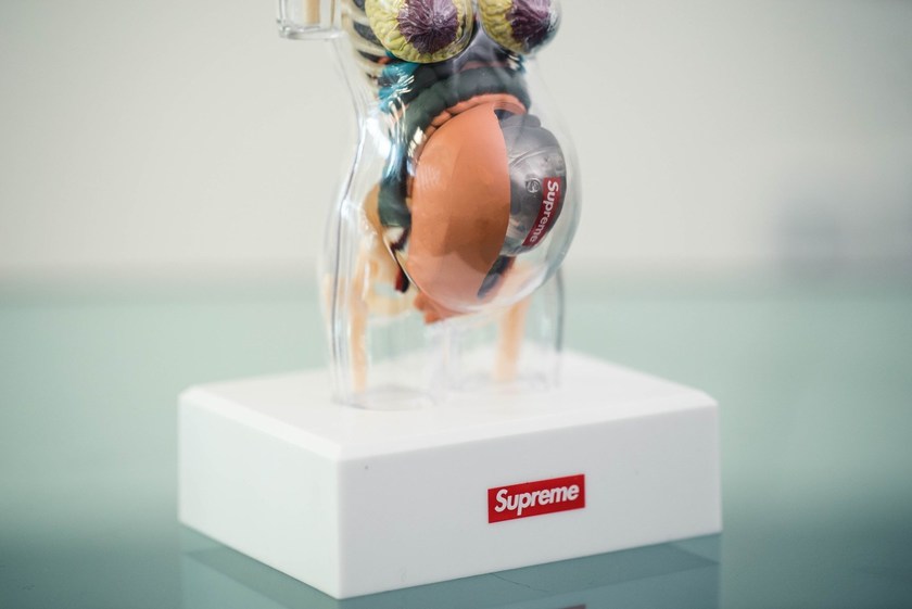 supreme-4d-master-male-and-female-anatomy-model-6.jpg