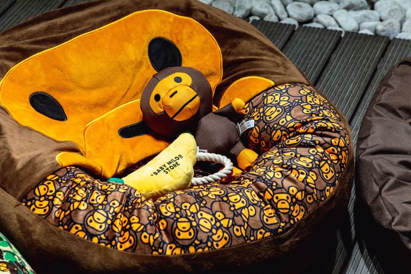 baby-milo-pet-collection-pop-up-9.jpg