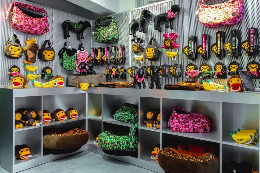 baby-milo-pet-collection-pop-up-3.jpg