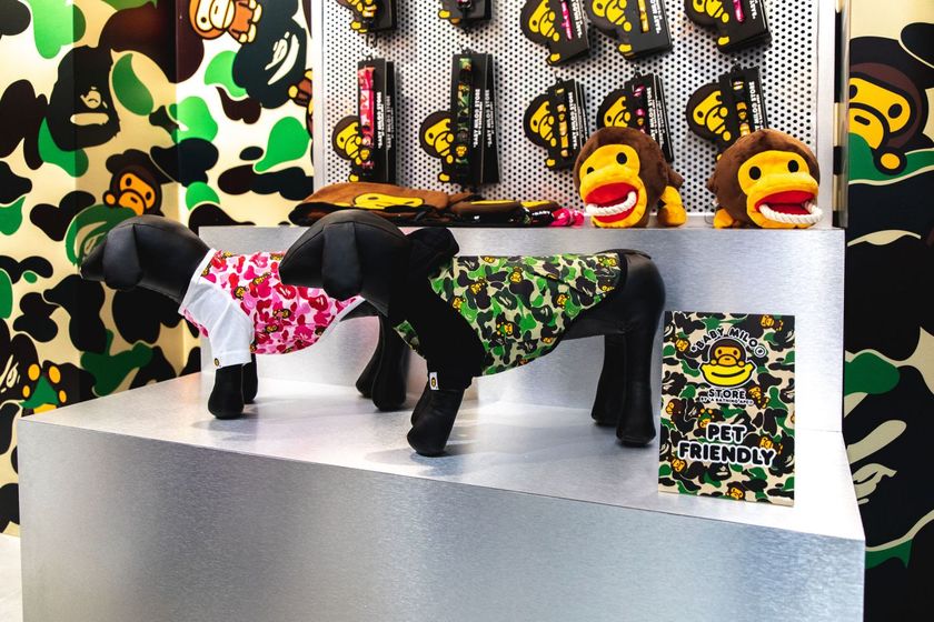 baby-milo-pet-collection-pop-up-8.jpg