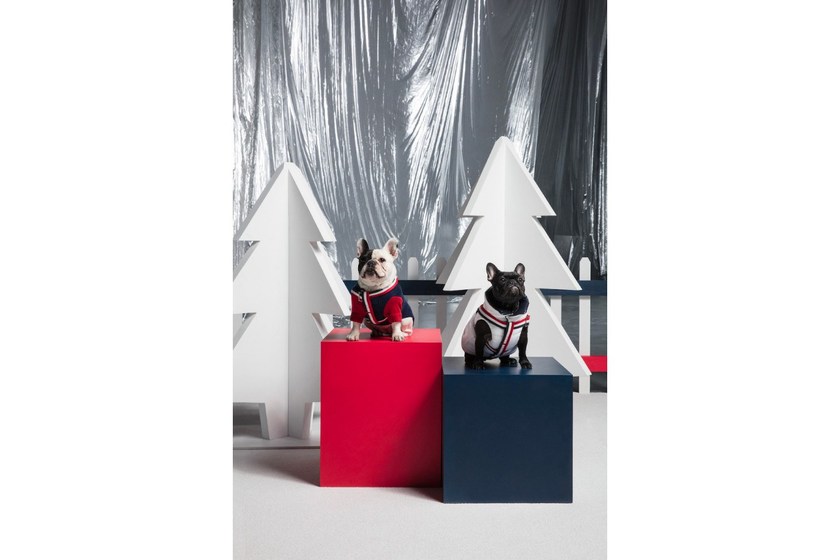 https_2F2Fhypebeast.com2Fimage2F20182F112Fmoncler-poldo-dog-couture-fall-winter-2018-005.jpg