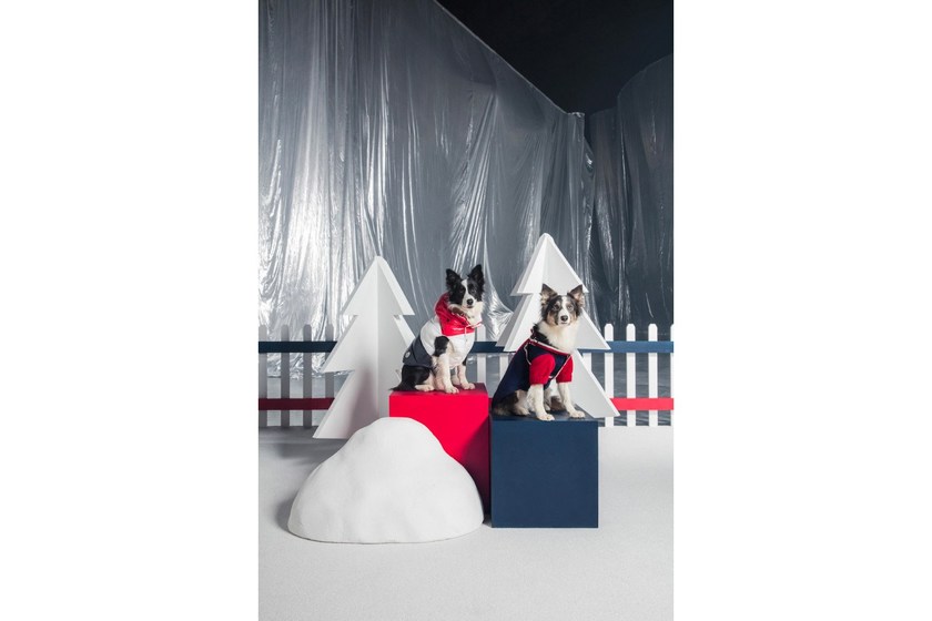 https_2F2Fhypebeast.com2Fimage2F20182F112Fmoncler-poldo-dog-couture-fall-winter-2018-003.jpg