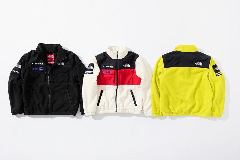 supreme-the-north-face-fall-winter-cordura-gore-tex-26.jpg