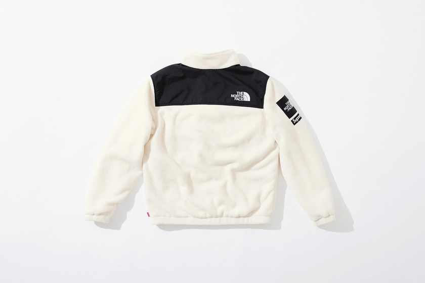 supreme-the-north-face-fall-winter-cordura-gore-tex-23.jpg