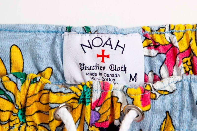 NOAH 2019 æ¥å¤è±ååæ¡ç³»å䏿¶