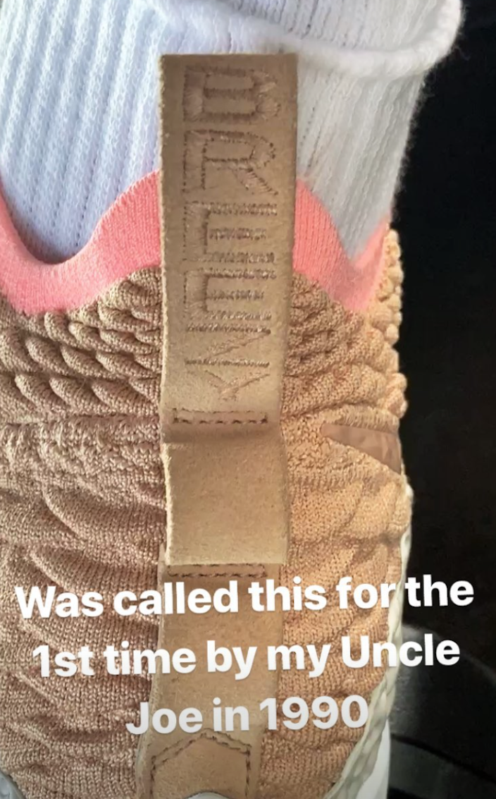 Nike LeBron 15 Air Yeezy 1 Net