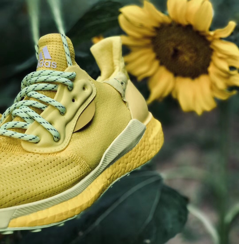 Pharrell Williams adidas Solar Hu Glideé»è²å叿¥æ