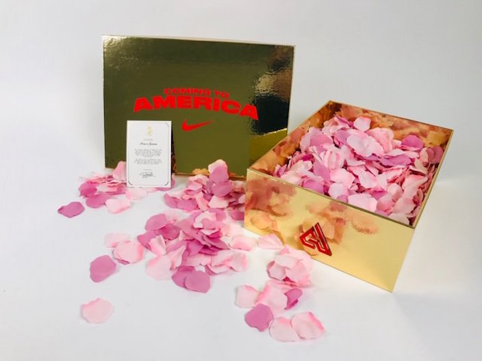 Nike Zoom Freak 1æ¥å°ç¾å½åè¡æ¥æ