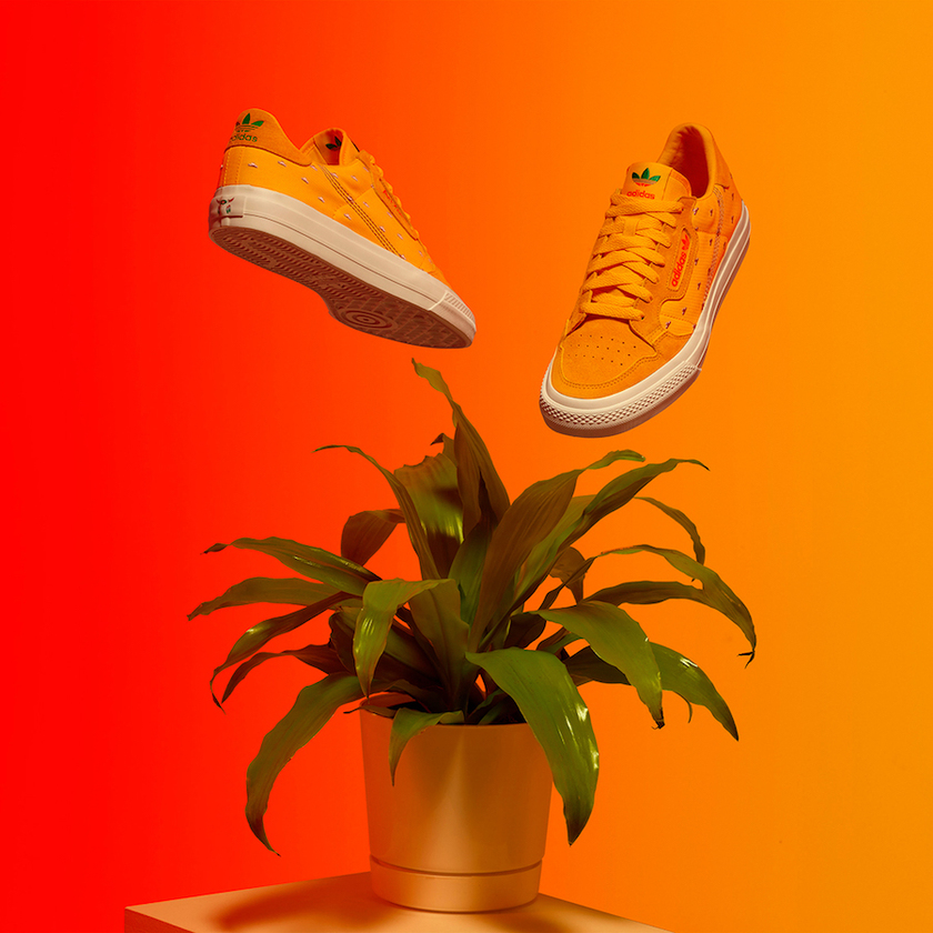 AriZonaå°è¶adidas Continental Vulcå叿¥æä»·æ ¼