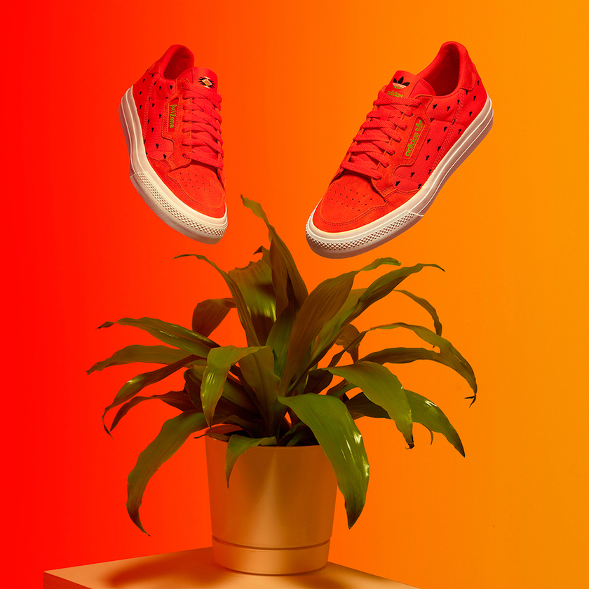 AriZonaå°è¶adidas Continental Vulcå叿¥æä»·æ ¼