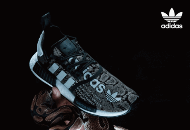 23-1Z9291Q604.gif