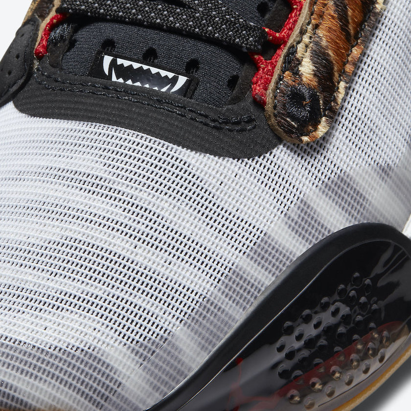 Jayson Tatum Air Jordan 34æ¬¢è¿æ¥å°Zoo PE DA1900-900åå:registered:æ¥æ