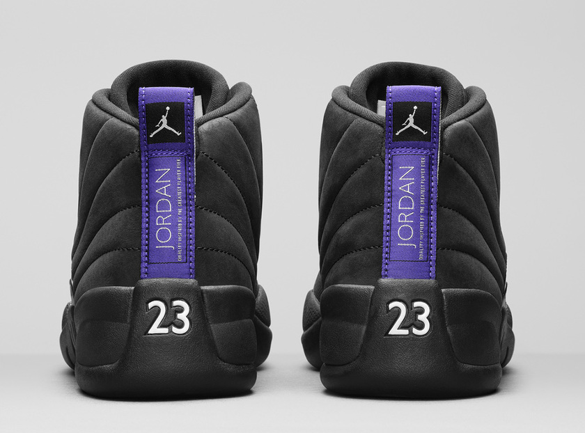 Air Jordan 12 Retro Concord CT8013-005 Release Date