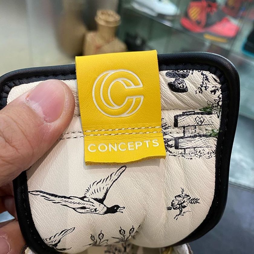 Concepts Nike SB Dunk High DC6887-200 Release Date