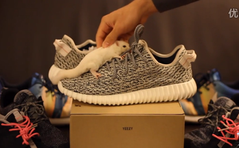 疯狂的Yeezy Boost 350抗压测试！